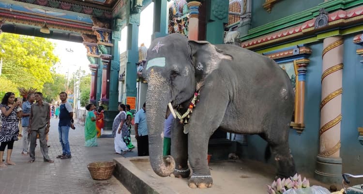 Sri Manakula Vinayagar Temple thumbnail 5